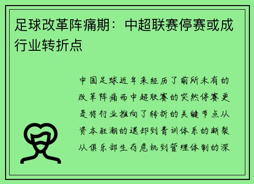 足球改革阵痛期：中超联赛停赛或成行业转折点