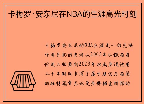 卡梅罗·安东尼在NBA的生涯高光时刻